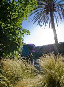 Hotel Lucrezia