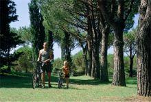 Residence Lacona