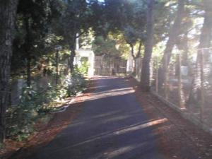 Parco dei Limoni