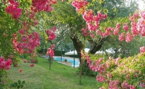 Hotel Villa Vecchia