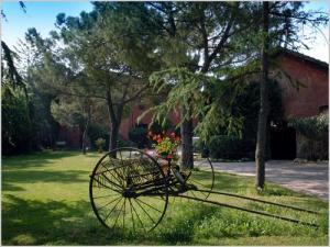 Tenuta Agricola Fonte Di Papa