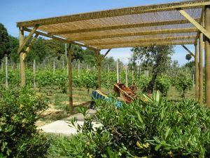 Agriturismo Le Fornacine