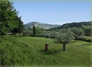 Le Vignole Country House