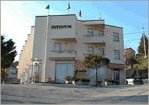 Pitinum