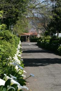Diana Park Hotel