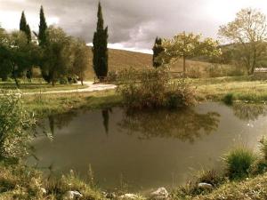 La Fornacina Country House