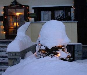 Chalet Alpina
