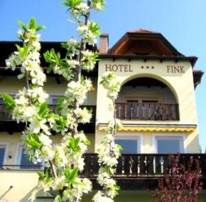 Hotel Bergfink