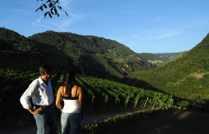 Maso Franch Gourmet e Relais