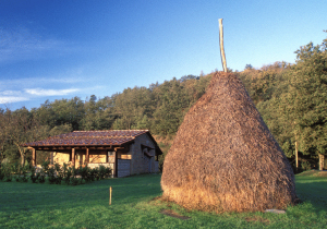 Il Borgo Di San Valentino