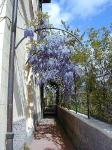 Residence Domus Volumnia