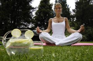 Ferien & Wellnesshotel Windschar
