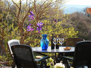 B&B Borgo Tepolini