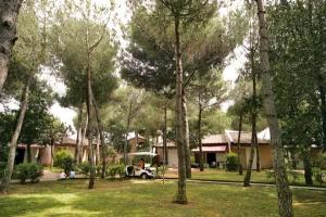 Riva Degli Etruschi