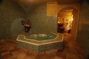 Hotel Dahu