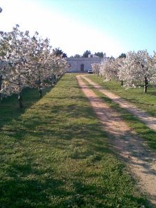 B&B Masseria Spilafemine
