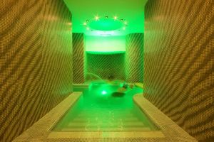 Hotel Parcoverde Terme