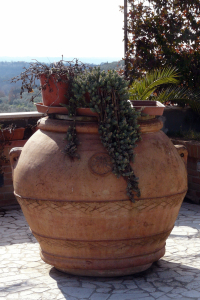 Residenza Degli Oleandri