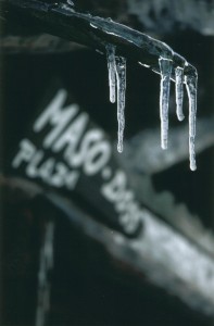 Chalet Maso Doss