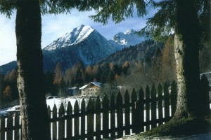 Chalet Maso Doss