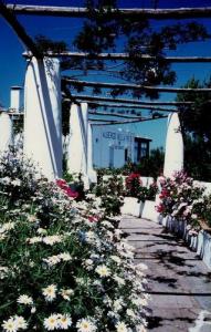 Hotel Bellavista