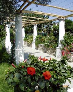 Hotel Al Mulino