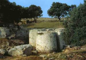 L'Oasi di Selinunte