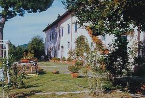 Colleionci