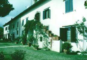 Colleionci