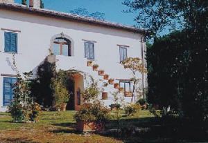 Colleionci