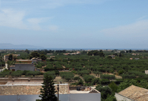 Agriturismo Baglio Rindinella