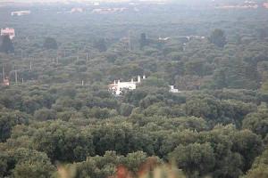 Masseria Il Frantoio