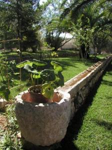 Masseria Il Frantoio