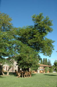 Agriturismo Le Piane Del Milia
