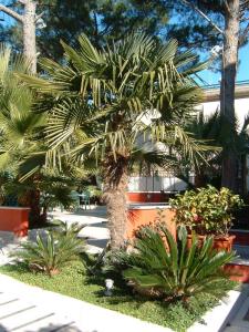 Hotel Gabbiano