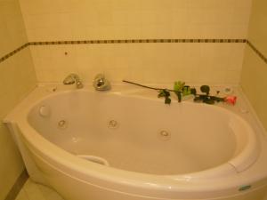 Hotel Al Camin