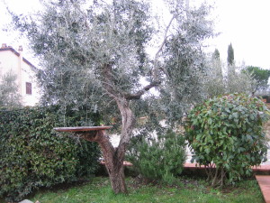 Villa Torricella