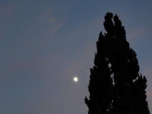 Pian d'Ercole Resort