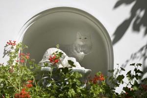 Albergo Gatto Bianco