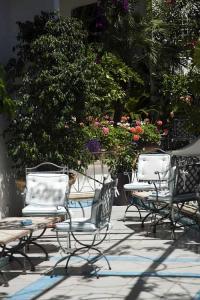 Albergo Gatto Bianco