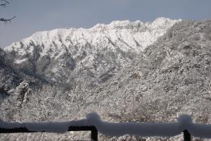 Chalet Al Faggio
