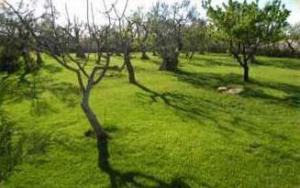 Agriturismo Il Petraro