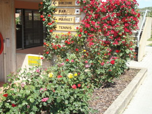 Hotel Le Tre Isole