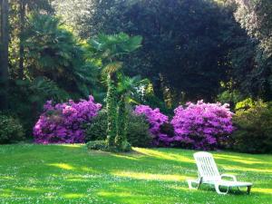 Hotel Villa Carlotta