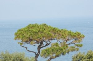 Villa Dei D??Armiento