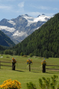 Hotel Sant'Orso & Wellness Le Bois