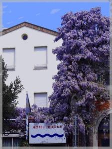 Hotel Tritone