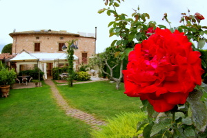 Il Roseto