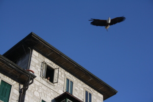 Park Hotel Des Dolomites