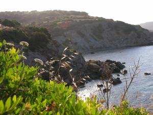 Baia Delle Ginestre